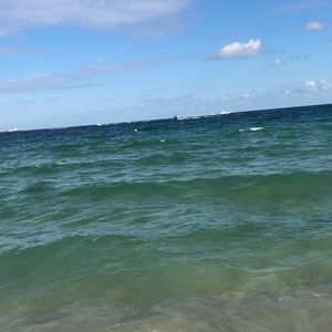 Meet your Posher, Alexarose